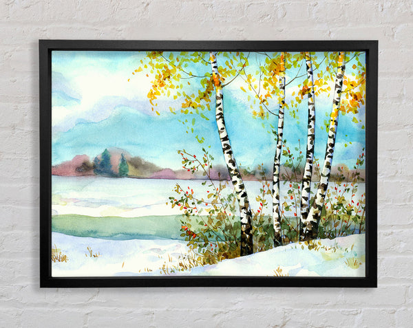 Silver Birch Winter Framed Print