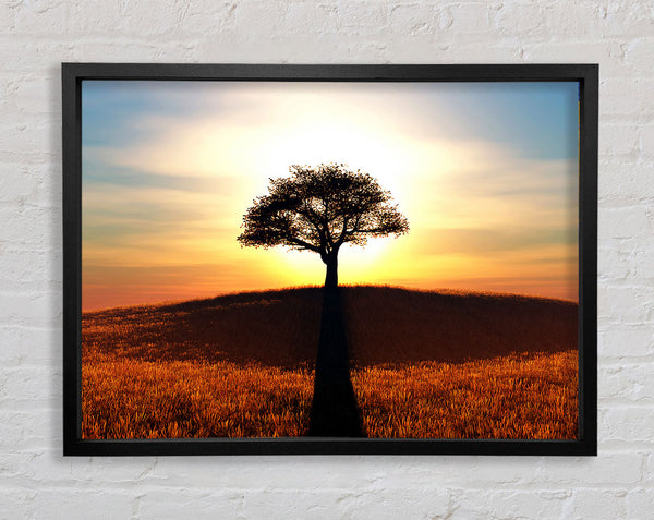 Sun Behind The Old Oak Tree Framed Print