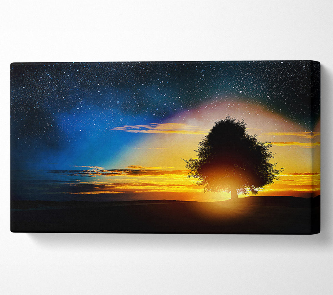  A Canvas Print of As The Stars Fall Canvas Art