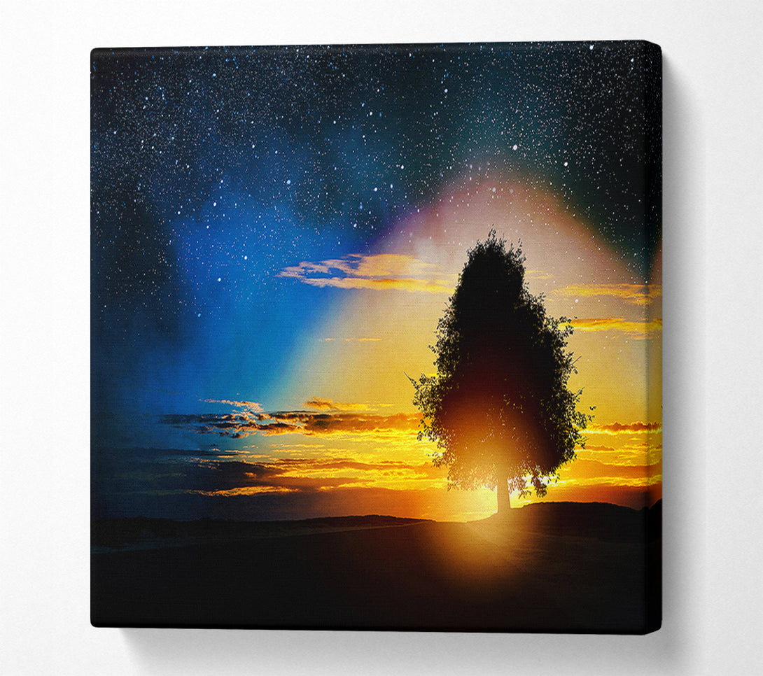 A Canvas Print of As The Stars Fall Canvas Art