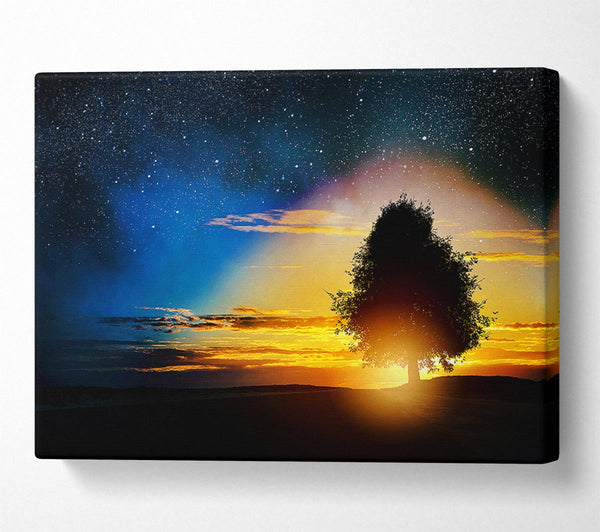  A Canvas Print of As The Stars Fall Canvas Art