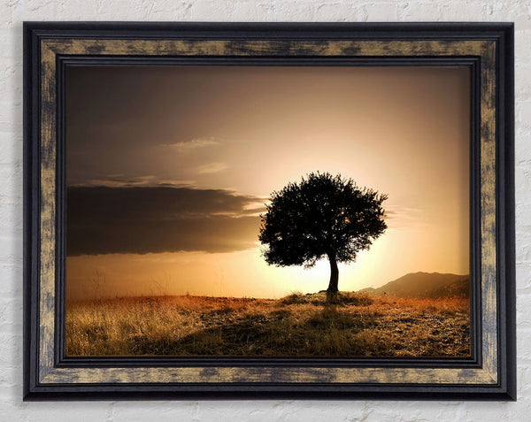 Sunset Behind The Tree Framed Print