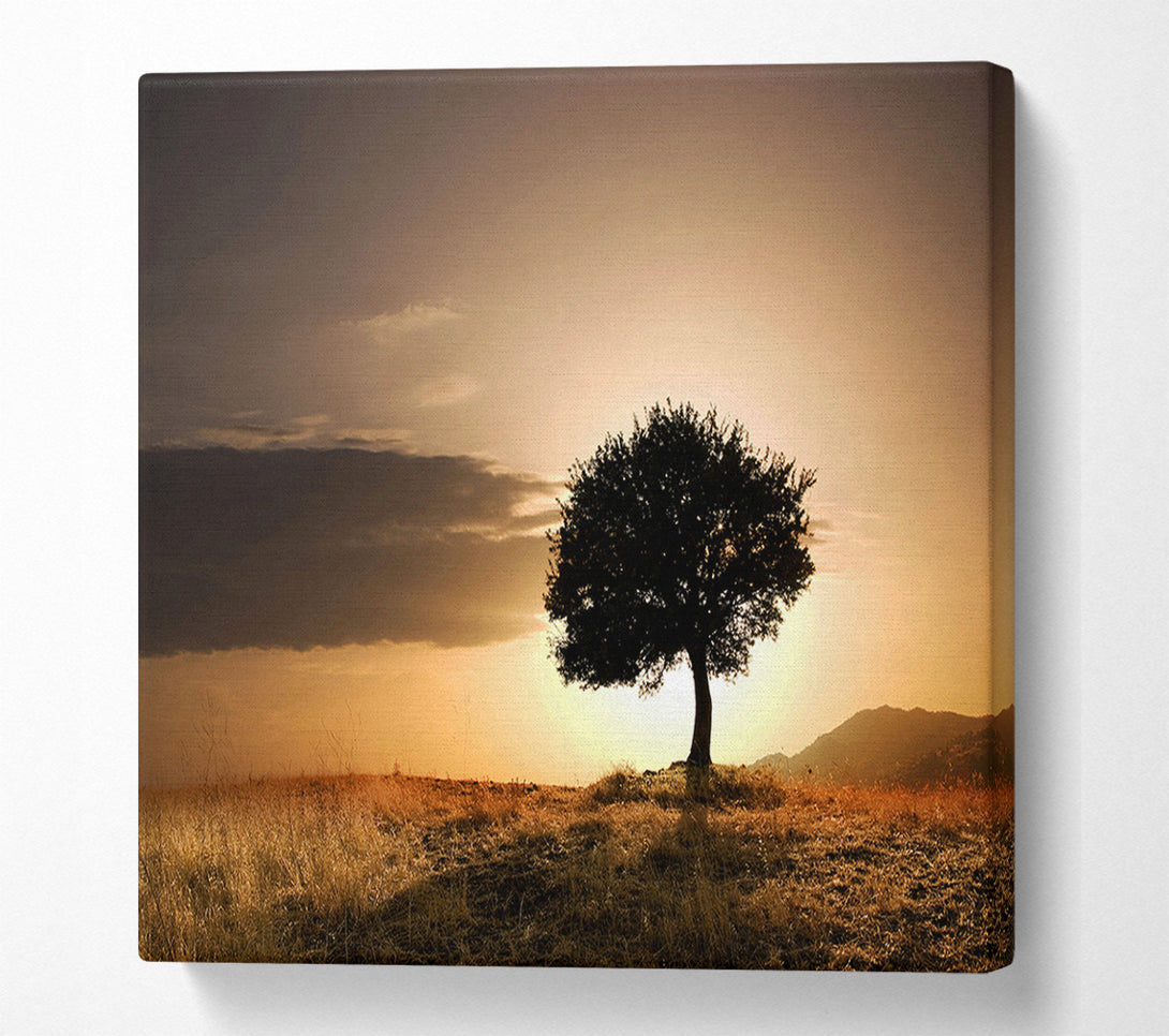  A Canvas Print of Sunset Behind The Tree Canvas Wall Art