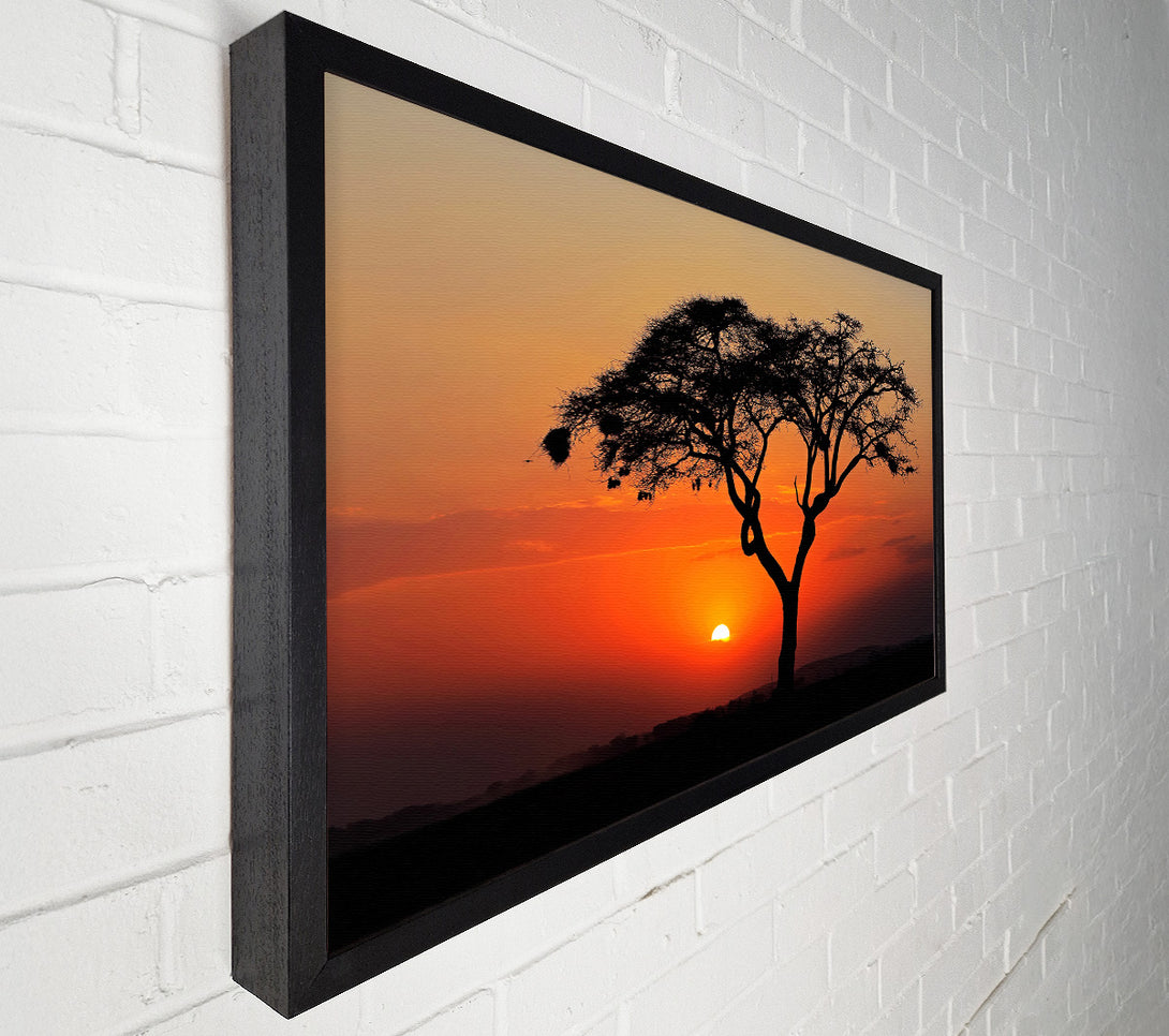  A Canvas Print of African Sunset Canvas Print