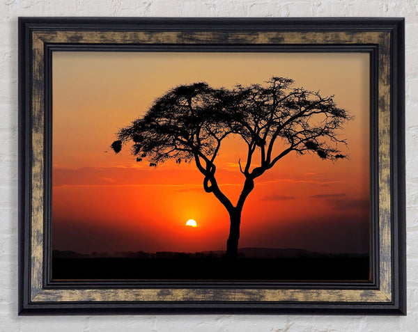African Sunset Framed Print