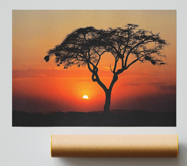 African Sunset Print