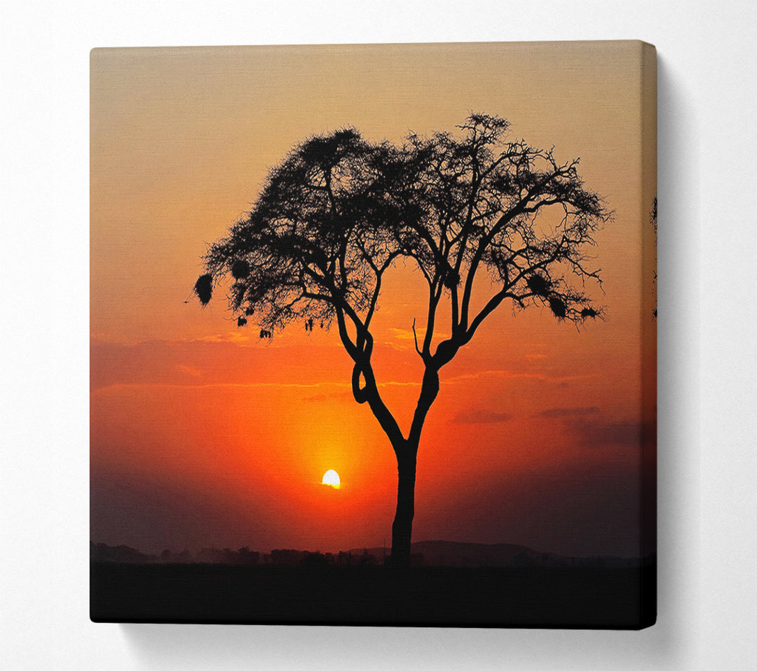  A Canvas Print of African Sunset Canvas Print