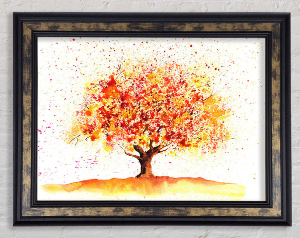 Stunning Autumn Tree Framed Print