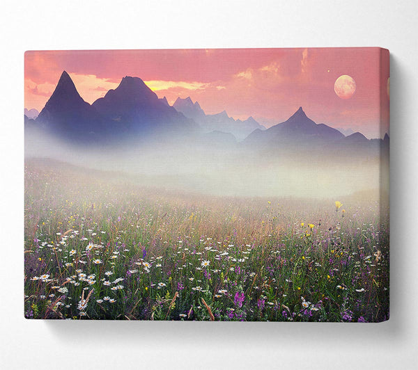  A Canvas Print of Flower Mountain Mist Canvas Art