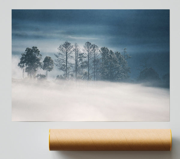 Morning Mist Print