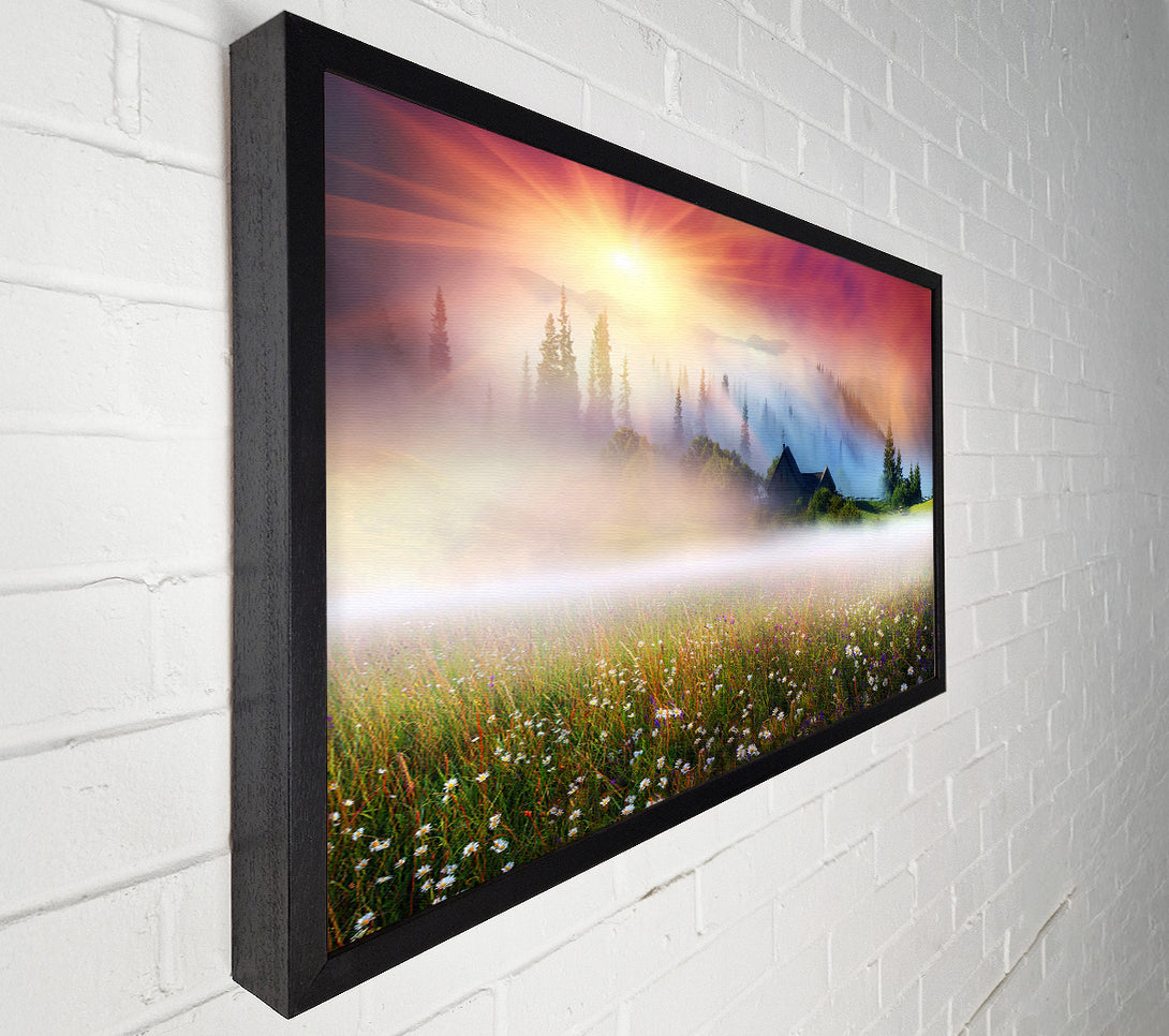  A Canvas Print of Sun Beams Through The Misty Flowers Canvas Art