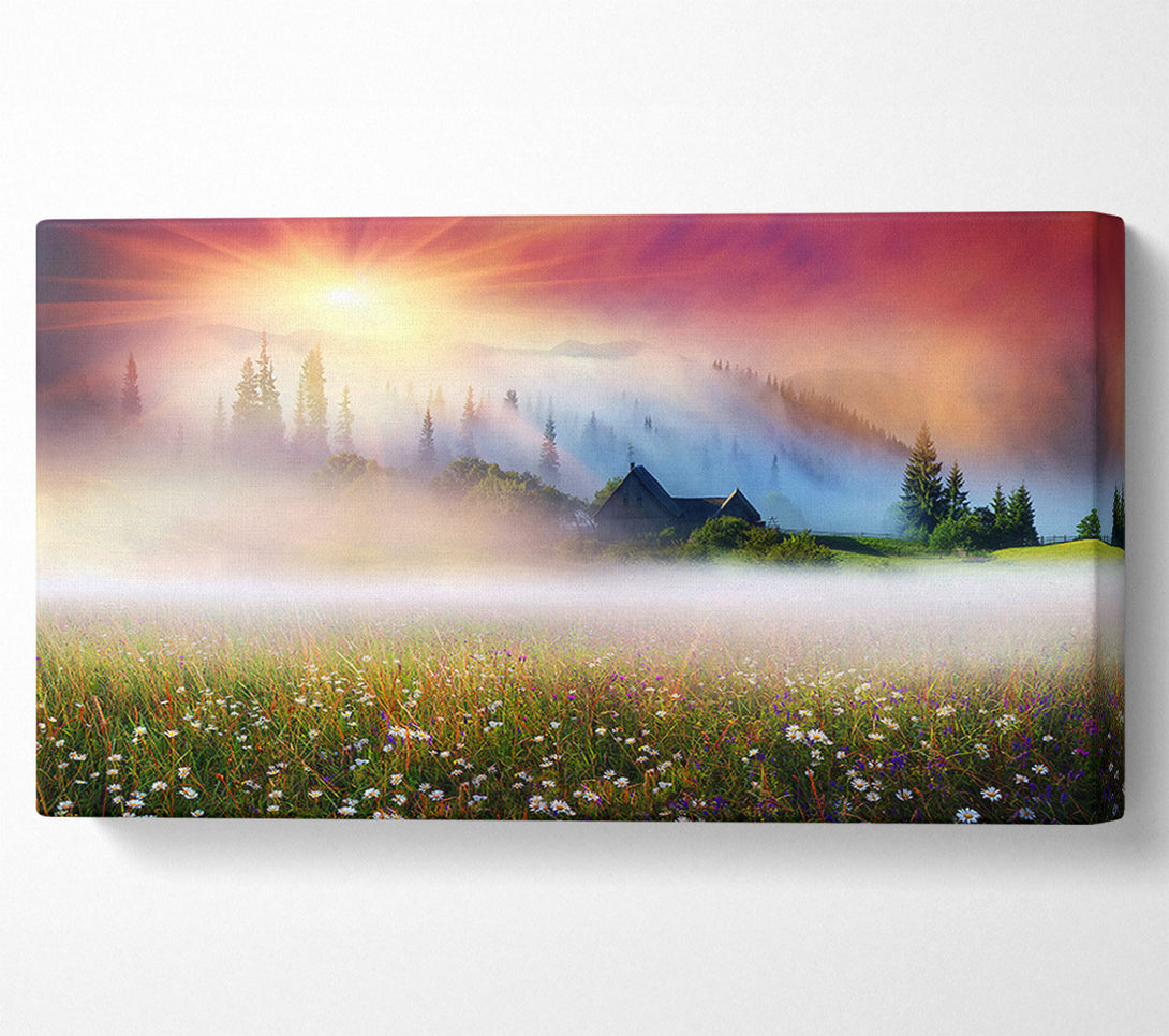  A Canvas Print of Sun Beams Through The Misty Flowers Canvas Art