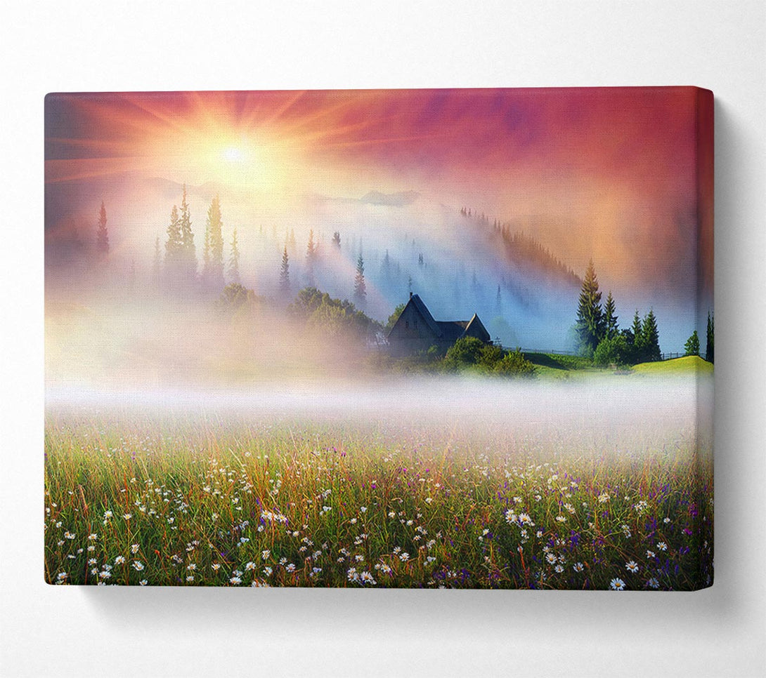  A Canvas Print of Sun Beams Through The Misty Flowers Canvas Art