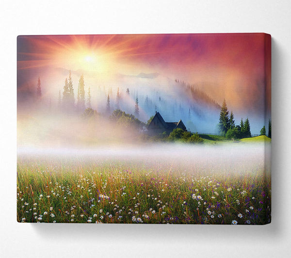  A Canvas Print of Sun Beams Through The Misty Flowers Canvas Art