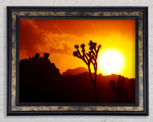 Sunset Desert Framed Print