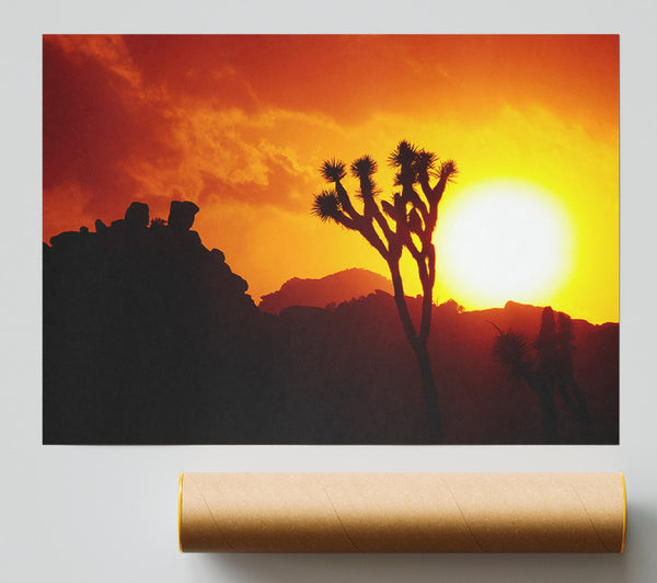 Sunset Desert Print