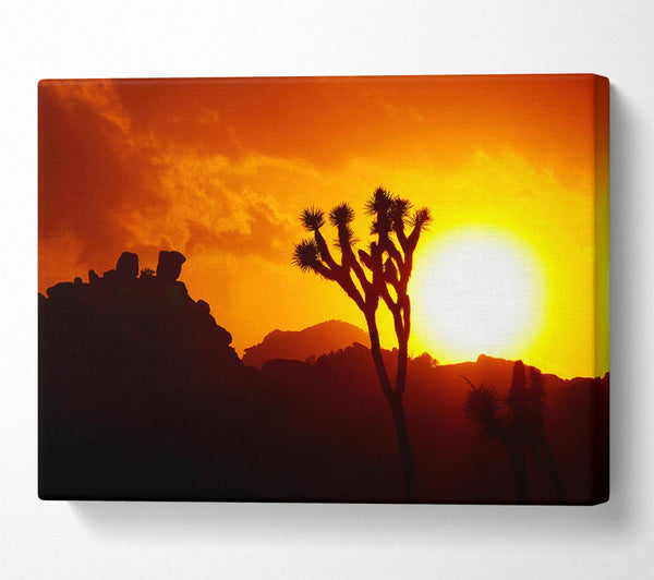  A Canvas Print of Sunset Desert Canvas Wall Art
