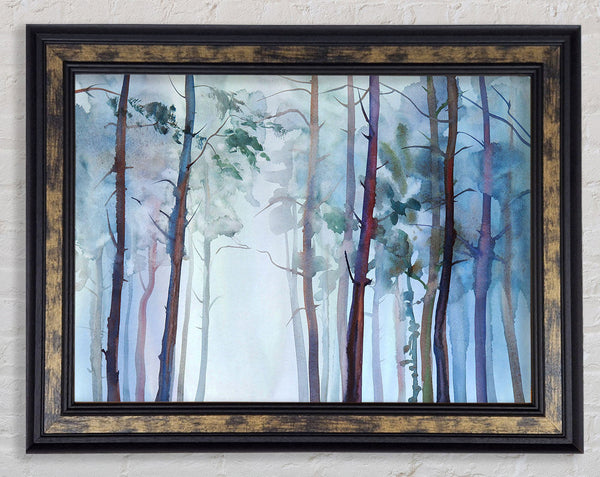 Mist Through The Forest Framed Print