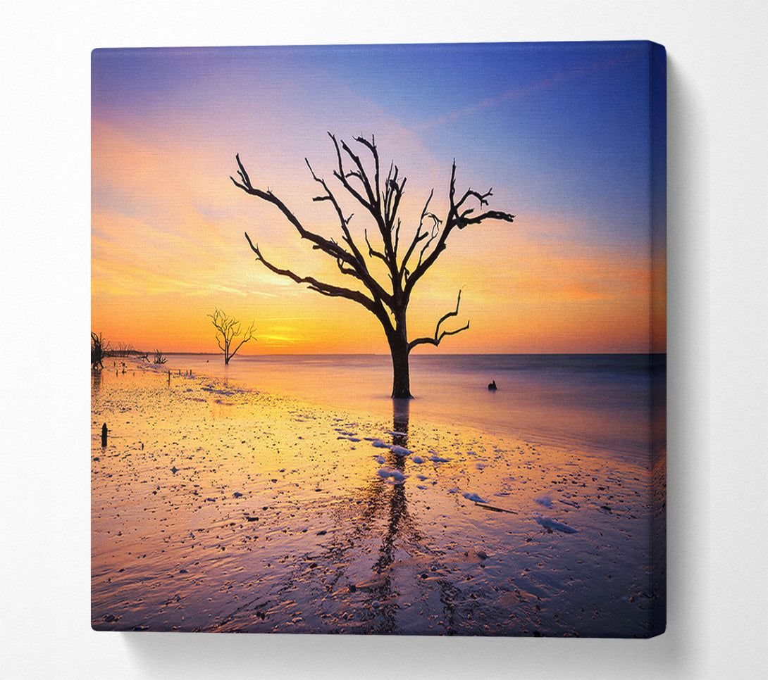  A Canvas Print of Winter Lake Sunset Canvas Print