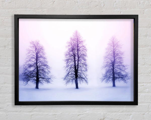 Purple Winter Trees Framed Print