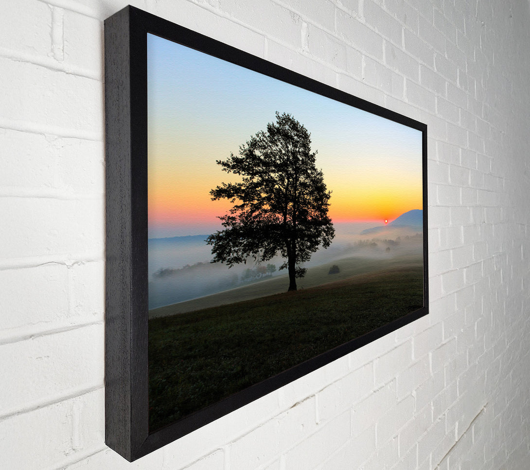  A Canvas Print of Misty Sunrise Canvas Art