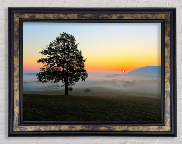 Misty Sunrise Framed Print