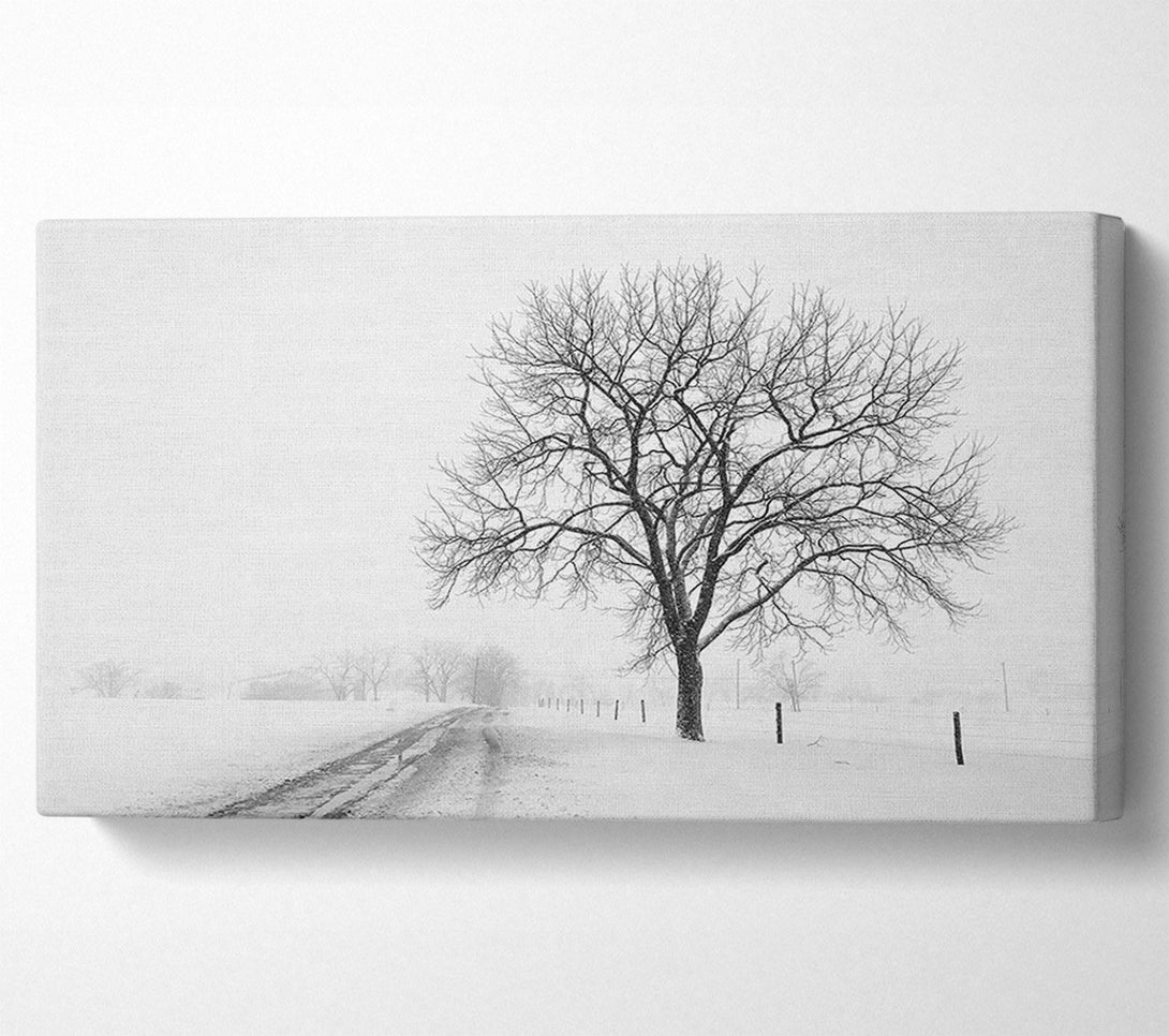  A Canvas Print of Snow Path Canvas Art