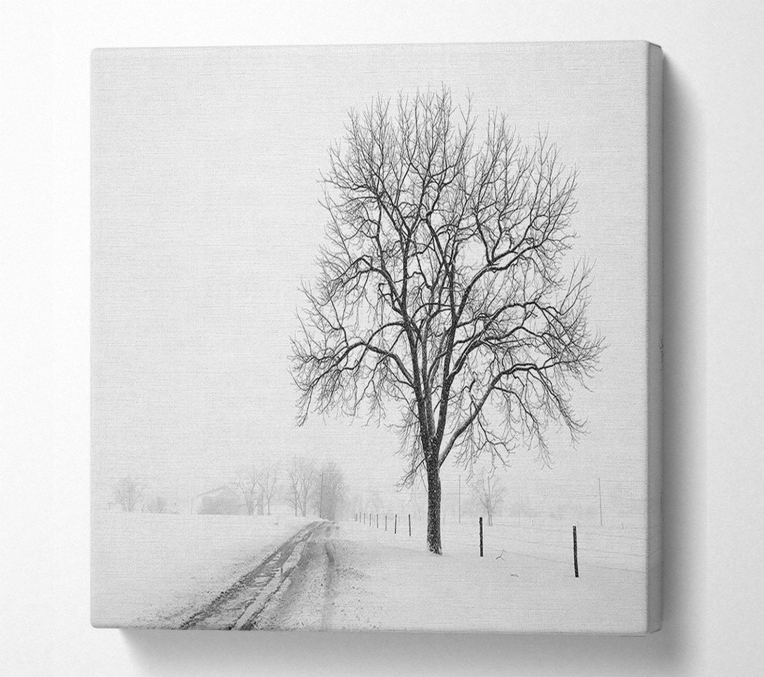  A Canvas Print of Snow Path Canvas Art