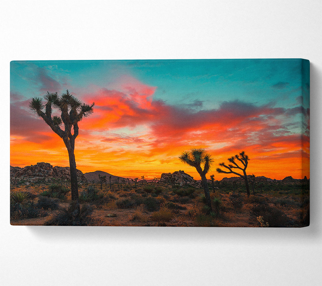  A Canvas Print of Sunset Desert Skies Canvas Wall Art