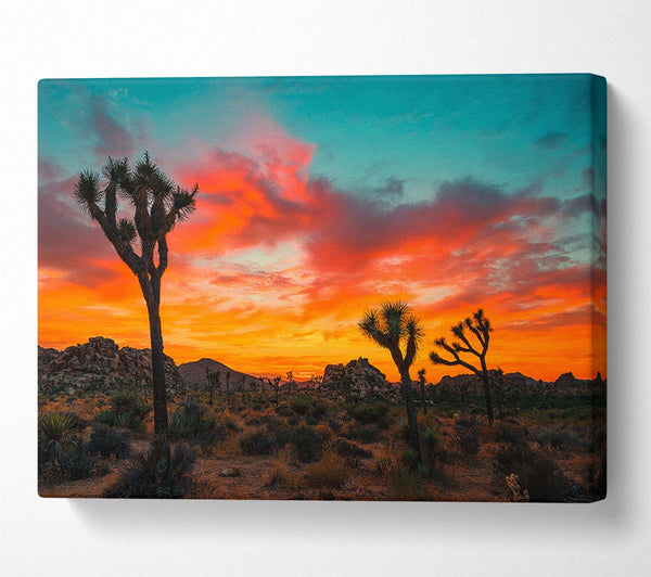  A Canvas Print of Sunset Desert Skies Canvas Wall Art