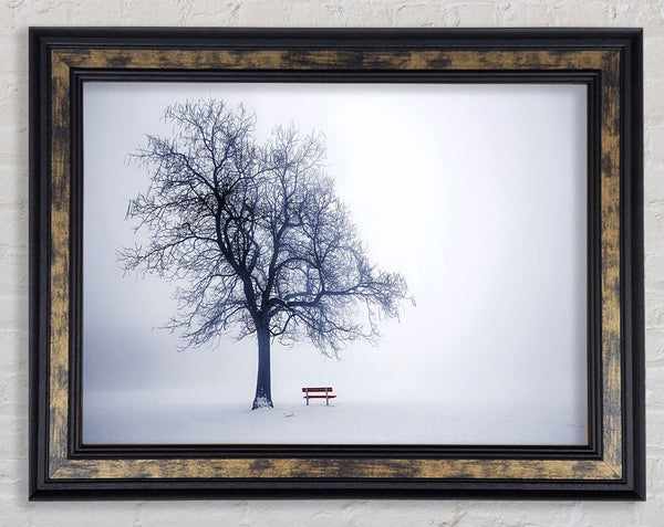 Lonesome Tree Framed Print