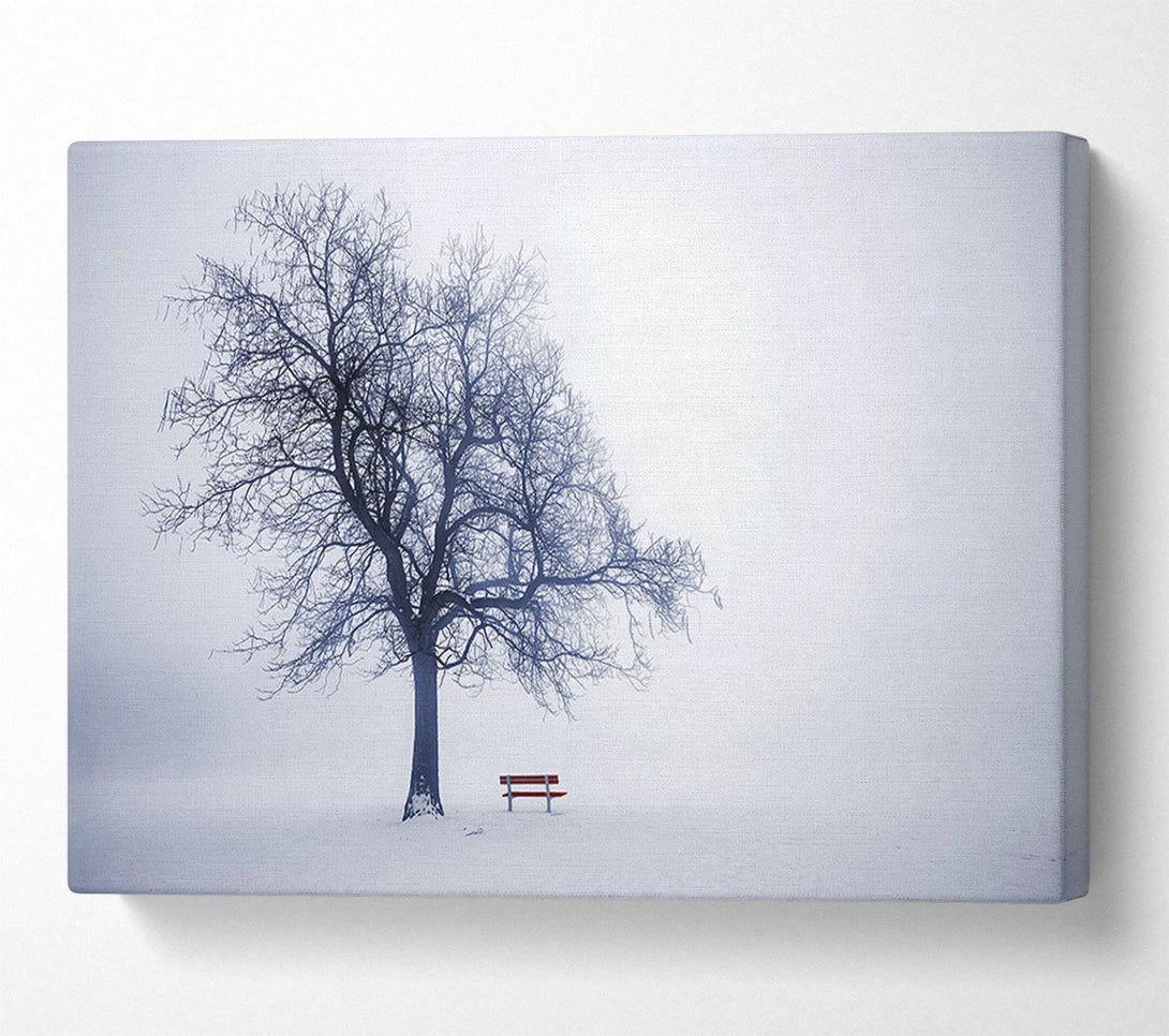  A Canvas Print of Lonesome Tree Canvas Art