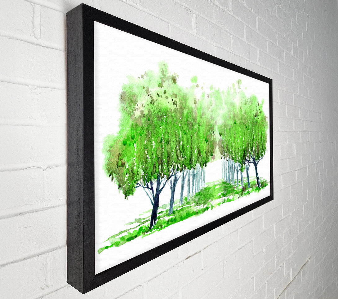  A Canvas Print of Green Tree Walk Canvas Wall Art