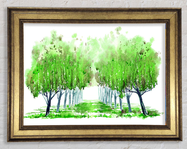 Green Tree Walk Framed Print