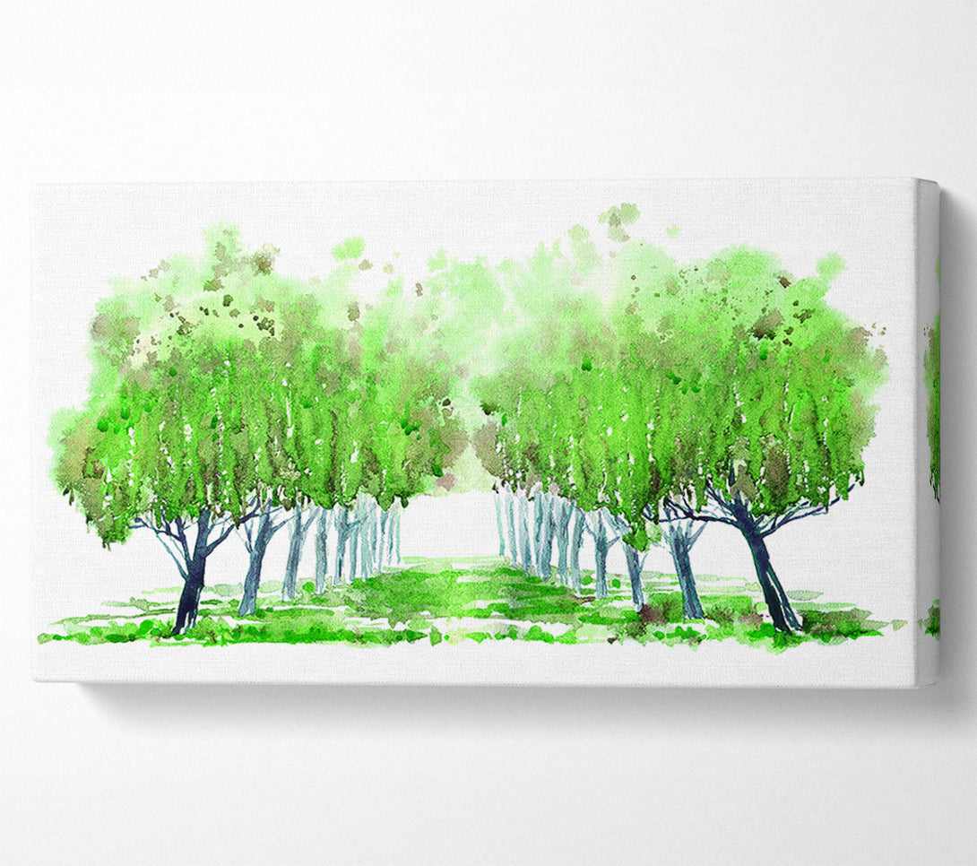  A Canvas Print of Green Tree Walk Canvas Wall Art