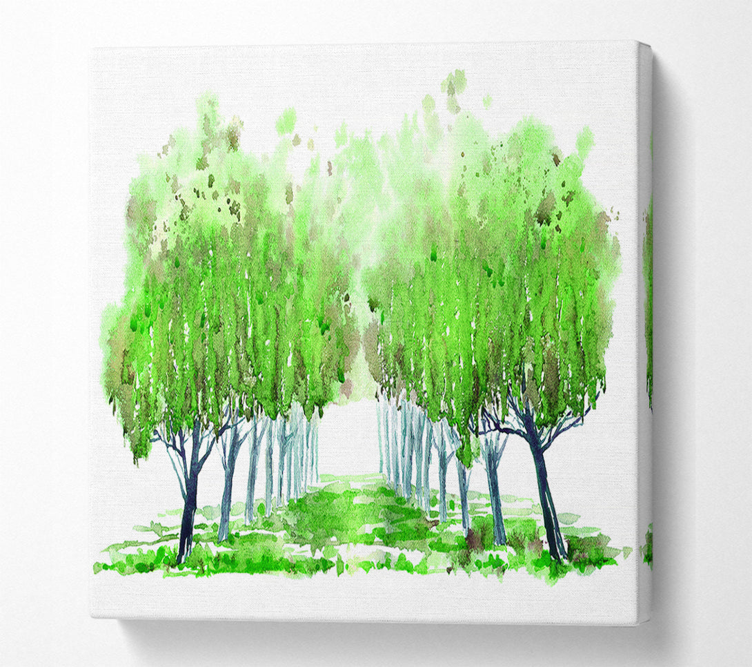  A Canvas Print of Green Tree Walk Canvas Wall Art
