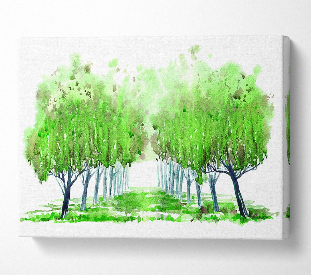  A Canvas Print of Green Tree Walk Canvas Wall Art