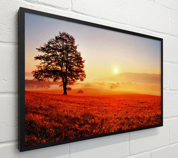 Autumn Sunset Fields