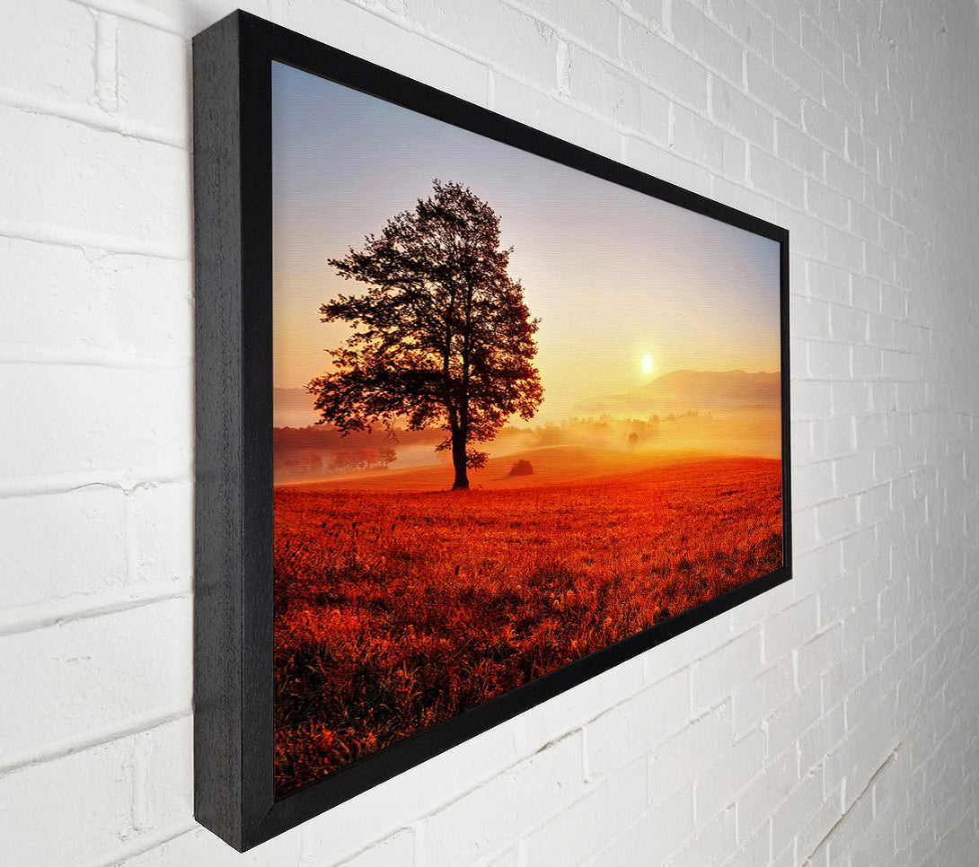  A Canvas Print of Autumn Sunset Fields Canvas Print