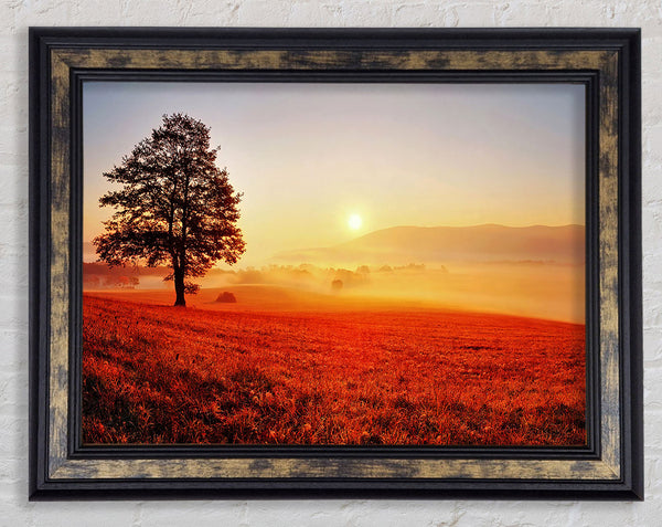 Autumn Sunset Fields Framed Print