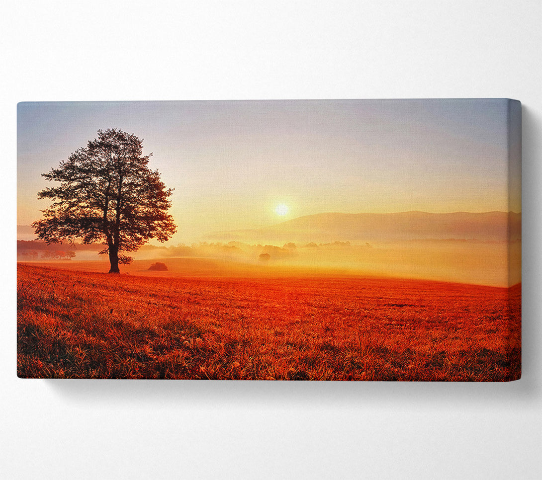  A Canvas Print of Autumn Sunset Fields Canvas Print