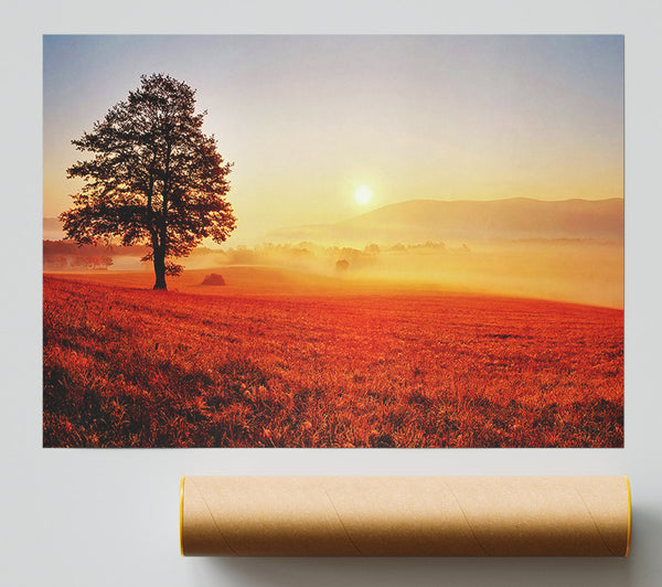 Autumn Sunset Fields Print