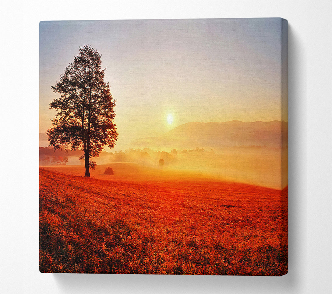  A Canvas Print of Autumn Sunset Fields Canvas Print