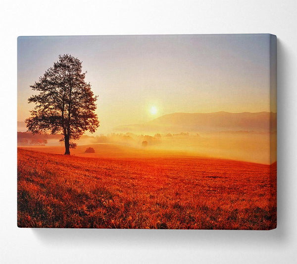  A Canvas Print of Autumn Sunset Fields Canvas Print