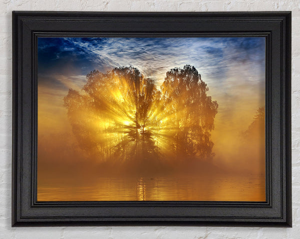 Golden Sunburst Tree Framed Print