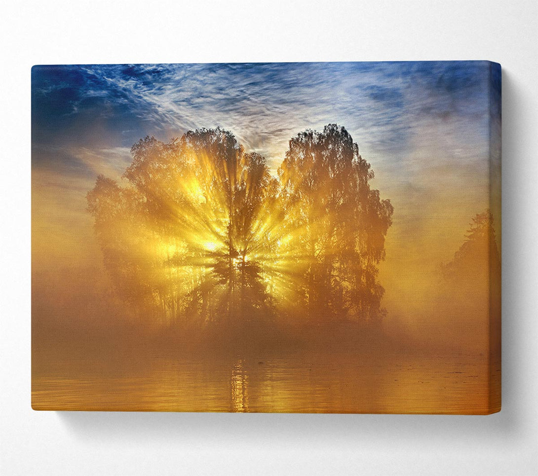  A Canvas Print of Golden Sunburst Tree Canvas Wall Art