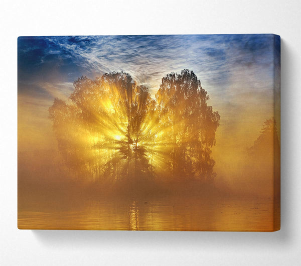  A Canvas Print of Golden Sunburst Tree Canvas Wall Art