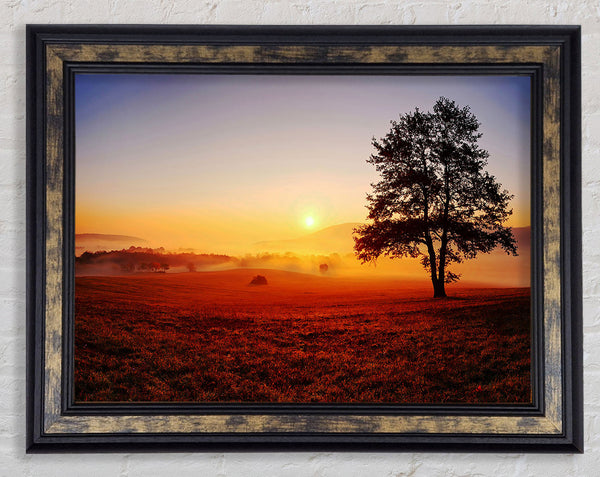 Autumn Fields Of Gold Framed Print