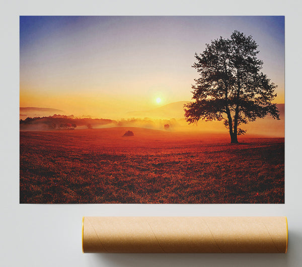 Autumn Fields Of Gold Print