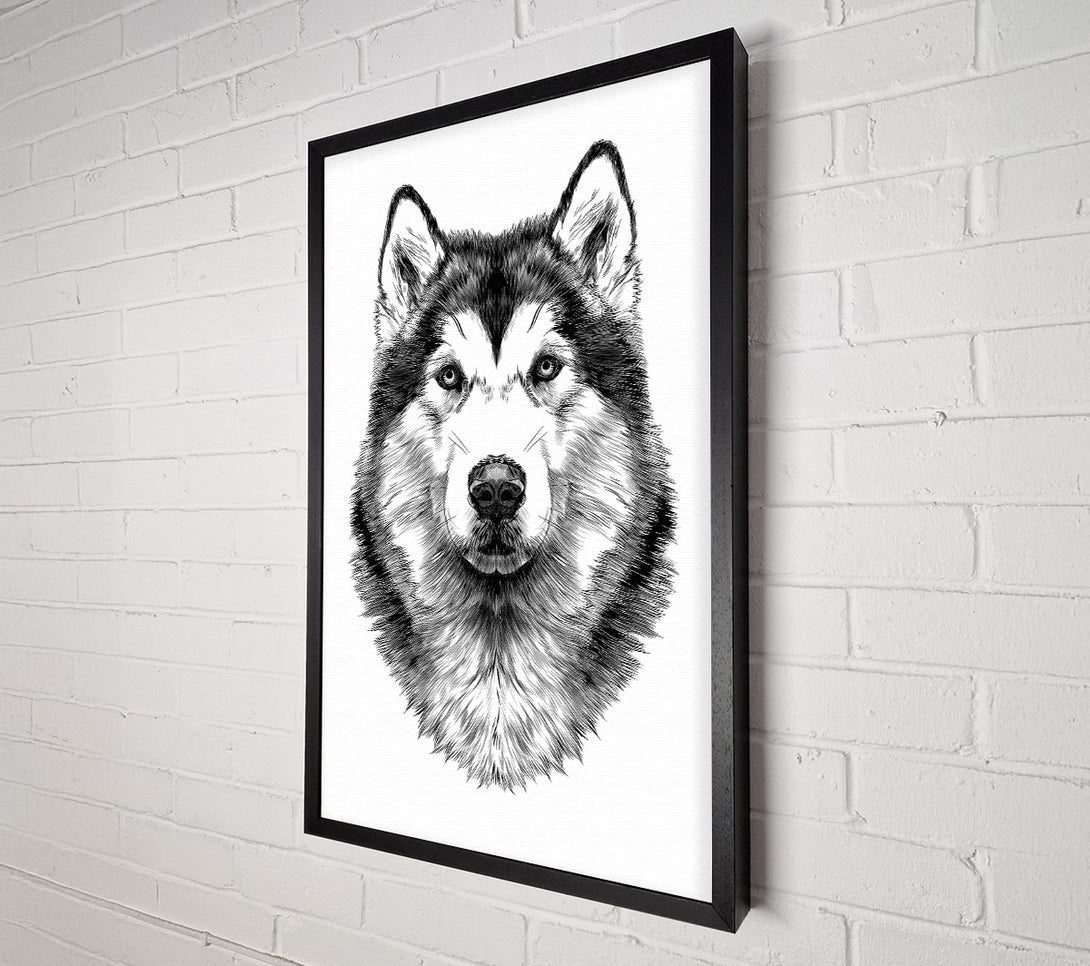  A Canvas Print of Husky Wolf Canvas Art